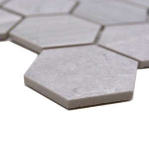 CTR HX21GM CTR HX21GM